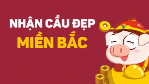 Dự đoán xổ số 14/11